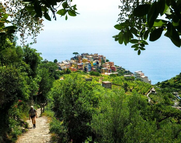 Cinque Terre Trekking Adventure: Explore Nature’s Splendor with a Local Specialist