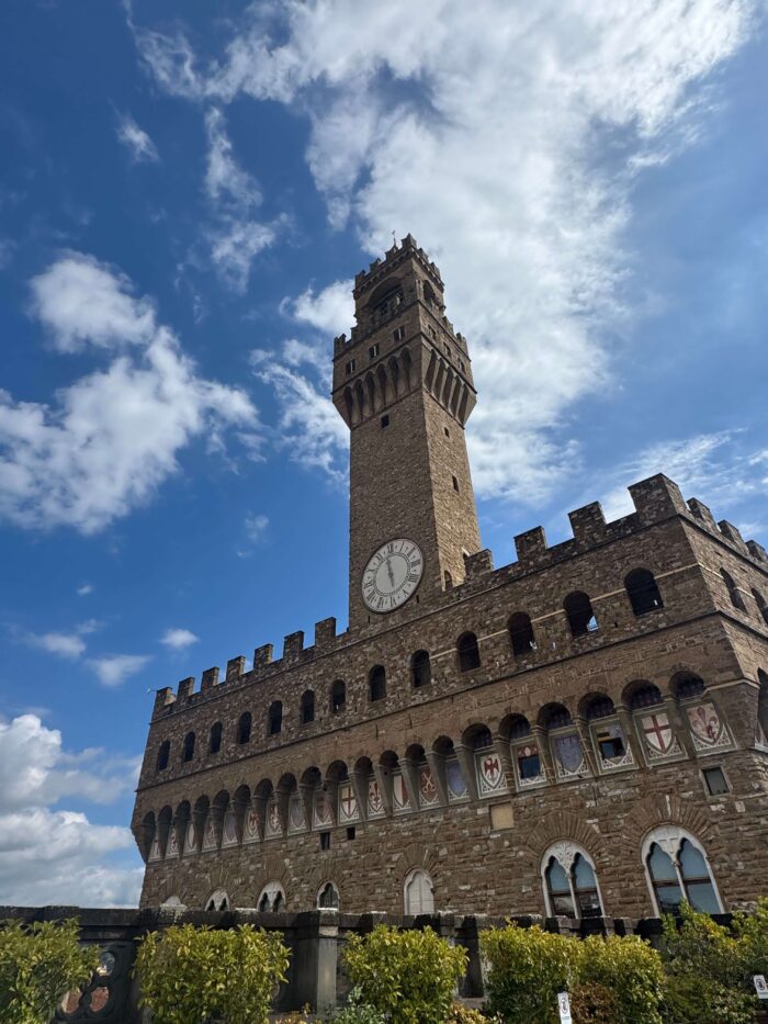 Private Florence Medici Walking Tour with Skip-the-Line Medici Chapels 3 Hours